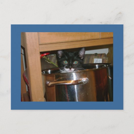 Wat is Cookin? Briefkaart (Voorkant)