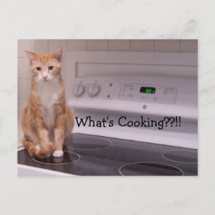 Wat is Cooking?!! Briefkaart
