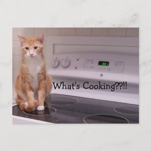 Wat is Cooking?!! Briefkaart (Voorkant)