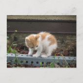 "Wat is daar beneden?" Briefkaart (Voorkant)