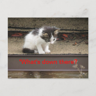 "Wat is daar beneden?" nieuwsgierig Kitten Briefkaart