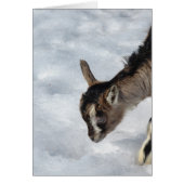 Wat is dat? (Voorkant)