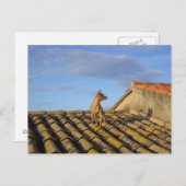 Wat is dat daar? briefkaart (Voorkant / Achterkant)