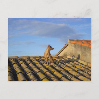 Wat is dat daar? briefkaart