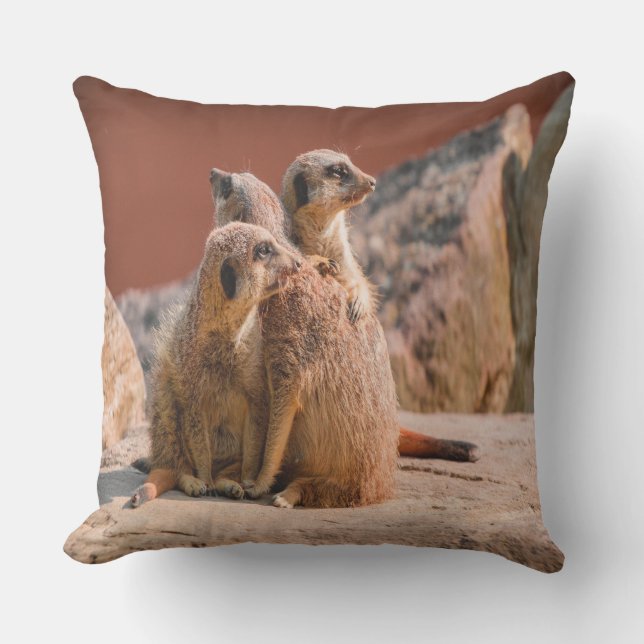 Wat is dat Meerkats Buitenkussen (Voorkant)