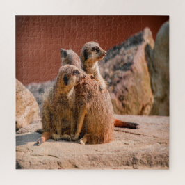 Wat is dat Meerkats Legpuzzel