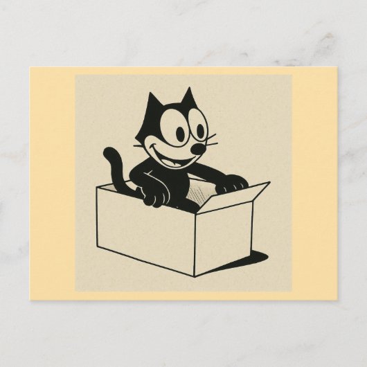 Wat is dat toch met katten en kisten?! briefkaart (Voorkant)