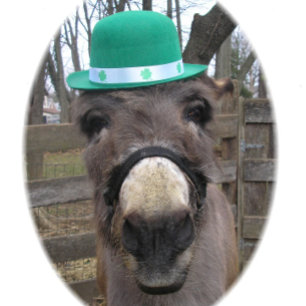 "Wat is de Big Deal?" Cadeaupapier