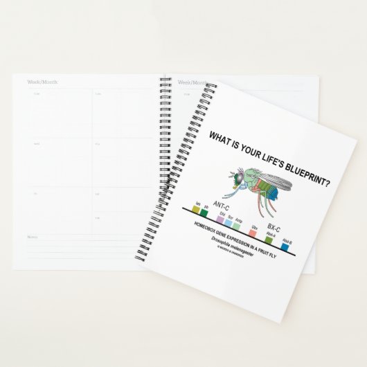 Wat is de blauwdruk van je leven? Drosophila Biolo Planner (Display)