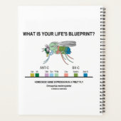 Wat is de blauwdruk van je leven? Drosophila Biolo Planner (Achterkant)