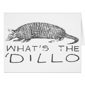 Wat is de Dillo?