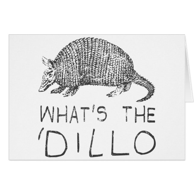 Wat is de Dillo? (Voorkant Horizontaal)
