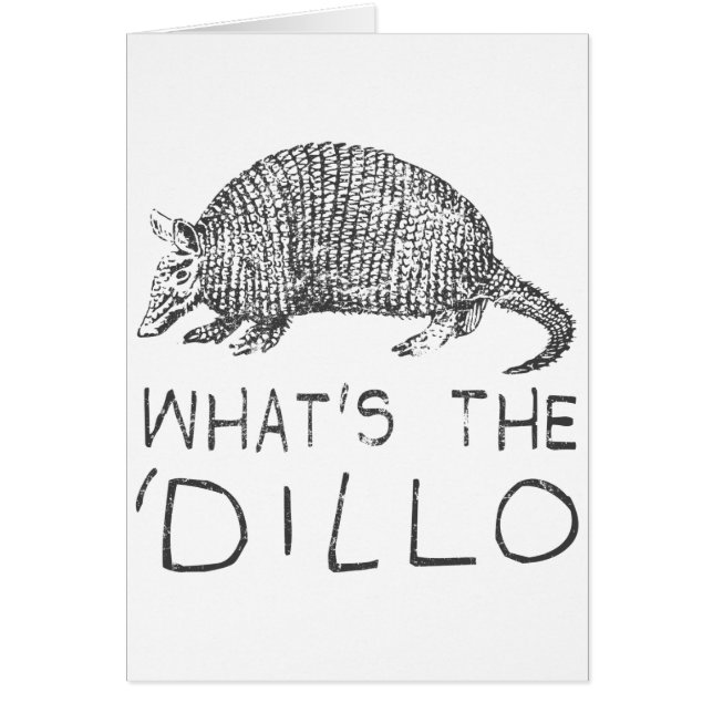 Wat is de Dillo? (Voorkant)