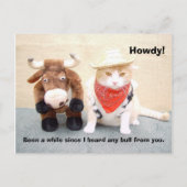 Wat is de laatste stier? briefkaart (Voorkant)