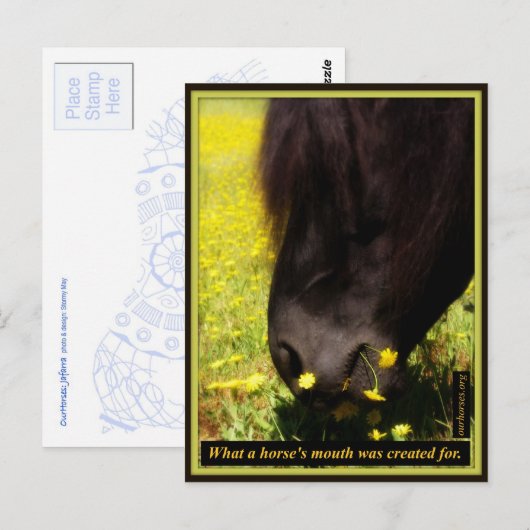 Wat is de mond van een paard gemaakt voor briefkaart (Voorkant / Achterkant)