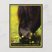 Wat is de mond van een paard gemaakt voor briefkaart (Voorkant)