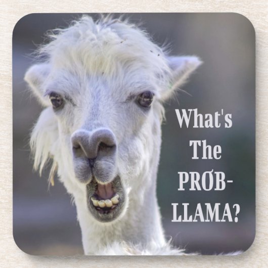 Wat is de Prob-Llama? Cute Funny LLAMA Bier Onderzetter (Voorkant)