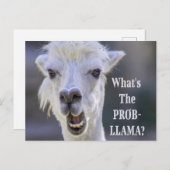 Wat is de Prob-Llama? Cute Funny LLAMA Briefkaart (Voorkant / Achterkant)