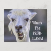 Wat is de Prob-Llama? Cute Funny LLAMA Briefkaart (Voorkant)