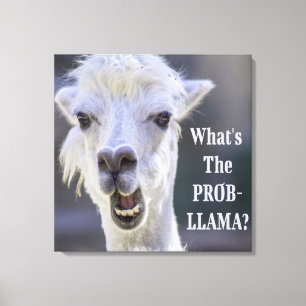 Wat is de Prob-Llama? Cute Funny LLAMA Canvas Afdruk
