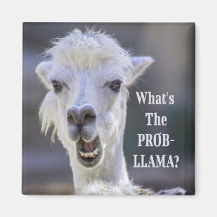 Wat is de Prob-Llama? Cute Funny LLAMA Magneet