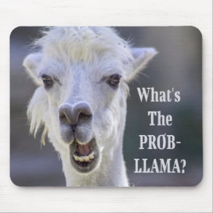 Wat is de Prob-Llama? Cute Funny LLAMA Muismat