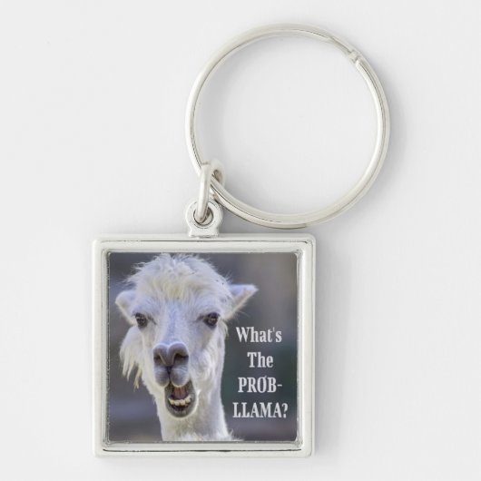 Wat is de Prob-Llama? Cute Funny LLAMA Sleutelhanger (Voorkant)