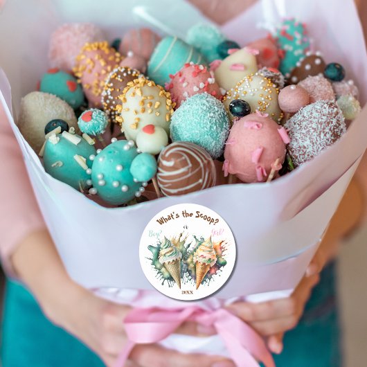 Wat is de Scoop Gender Reveal Party? Ronde Sticker