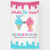 Wat is de Scoop Ice Cream Gender Reveal Banner (Verticaal)