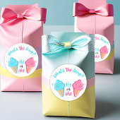 Wat is de Scoop Ice Cream Gender Reveal Favor Ronde Sticker