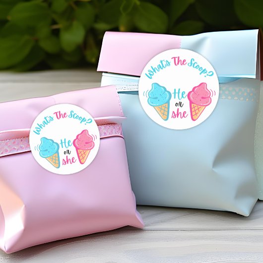 Wat is de Scoop Ice Cream Gender Reveal Favor Ronde Sticker
