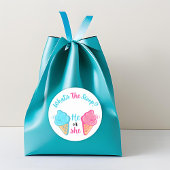Wat is de Scoop Ice Cream Gender Reveal Favor Ronde Sticker
