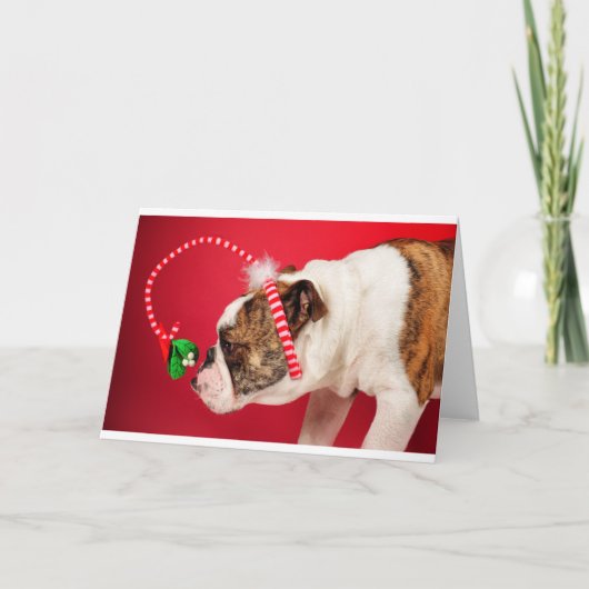 Wat is dit? feestdagen kaart (Voorkant)