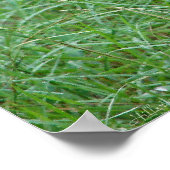 "Wat is Doc?" Oost-Cottontail Rabbit Poster (Hoek)