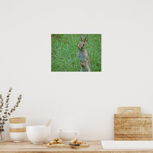 "Wat is Doc?" Oost-Cottontail Rabbit Poster (Keuken)