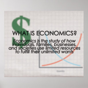 Wat is Economie? *BIJGEWERKT* Poster