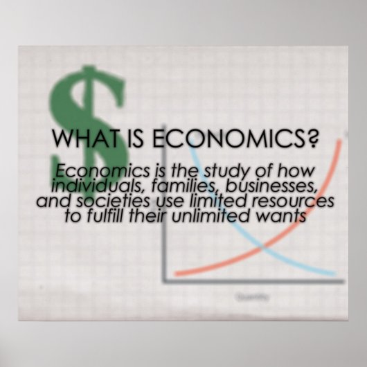 Wat is Economie? *BIJGEWERKT* Poster (Voorkant)