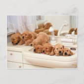 Wat is een Bath? Cute Puppies Discover BathTime Briefkaart (Voorkant)