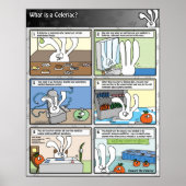 Wat is een Celeriac? Poster (Voorkant)