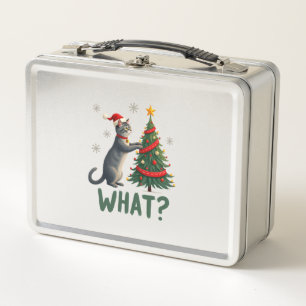 Wat is een grappige kat die een kerstboom omver du