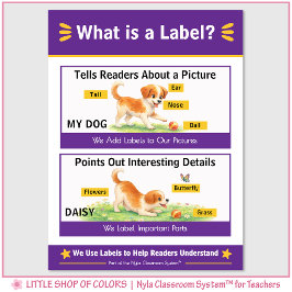 Wat is een Label Klas Ankerkaart Poster