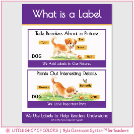 Wat is een label klasankerdiagram poster