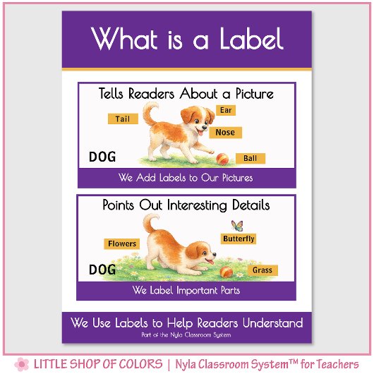 Wat is een label klasankerdiagram poster