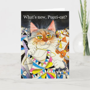 Wat is een nieuwe Pucci-cat? Kaart