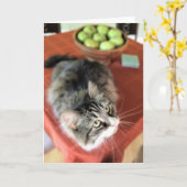 Wat is een Stilleven? De Siberische Kaarten van de (Gele Bloem)