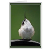 Wat is er? (Voorkant)