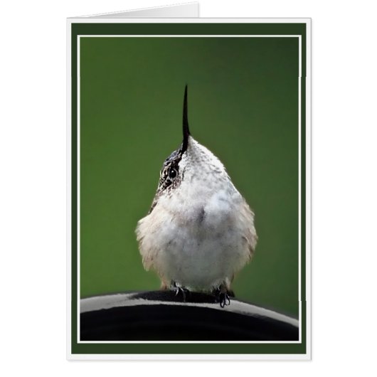 Wat is er? (Voorkant)