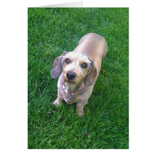 Wat is er? (Voorkant)