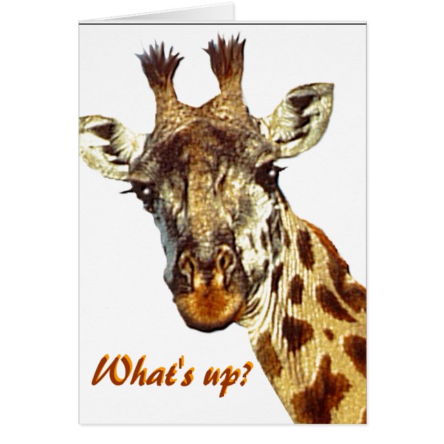 "Wat is er?" (Voorkant)