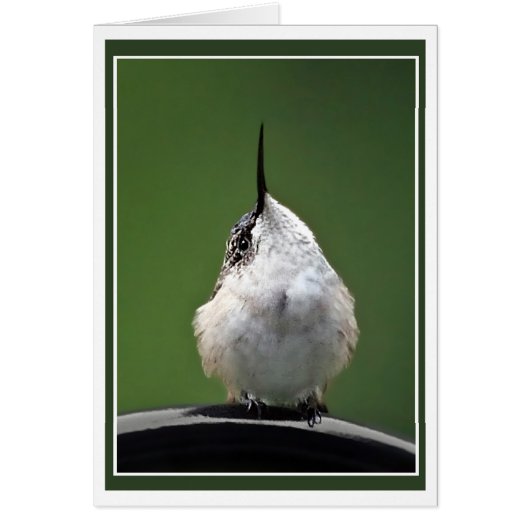 Wat is er? (Voorkant)